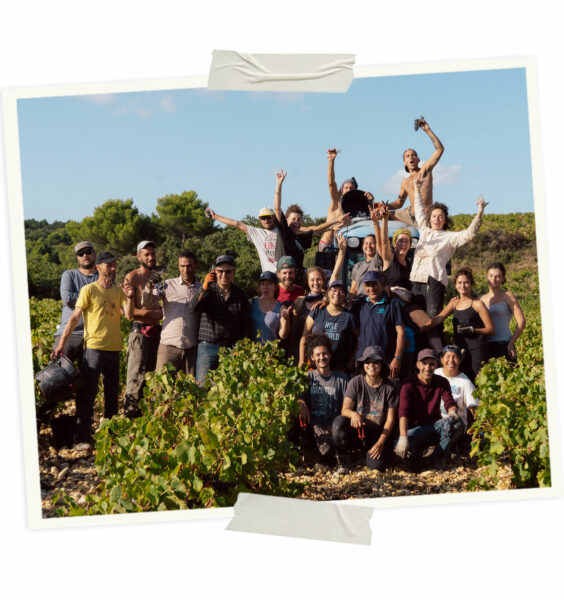 Domaine-Richaud-Equipe-vendange2024